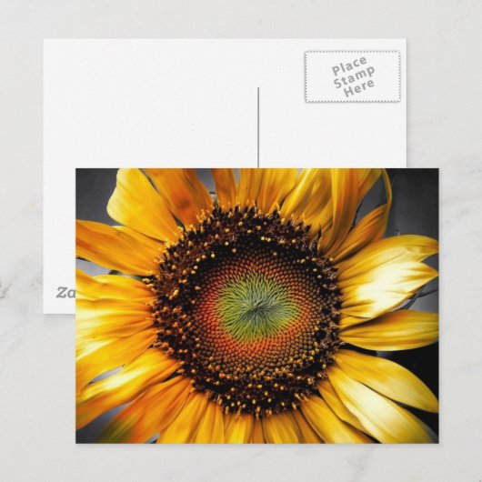 Sonnenblume Postkarte (Vorne/Hinten)