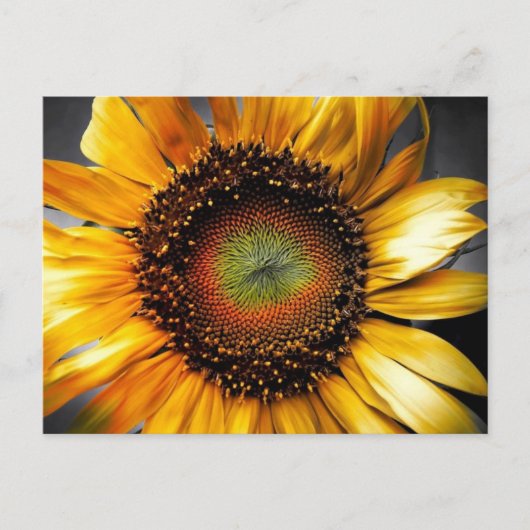 Sonnenblume Postkarte (Vorderseite)