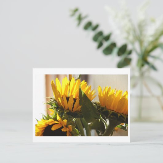 Sonnenblume Postkarte (Stehend Vorderseite)