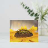 Sonnenblume Postkarte (Stehend Vorderseite)