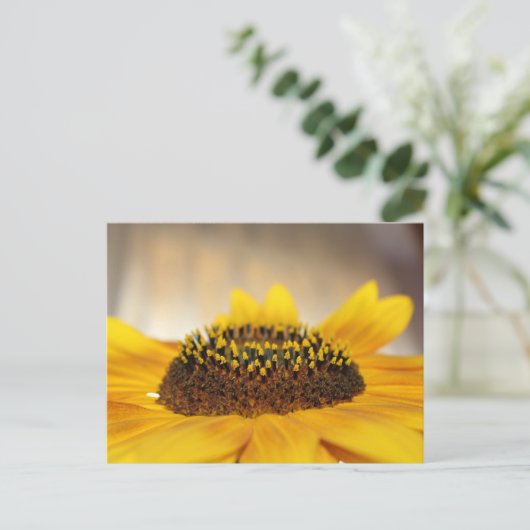 Sonnenblume Postkarte (Stehend Vorderseite)