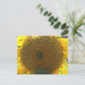 Sonnenblume Postkarte (Stehend Vorderseite)