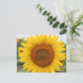 Sonnenblume Postkarte (Stehend Vorderseite)