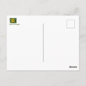Sonnenblume Postkarte (Rückseite)