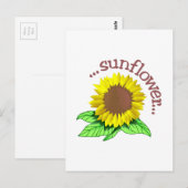 Sonnenblume Postkarte (Vorne/Hinten)