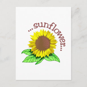 Sonnenblume Postkarte