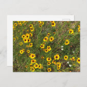 Sonnenblume Postkarte (Vorne/Hinten)