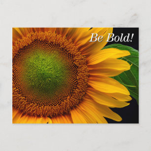 Sonnenblume Postkarte
