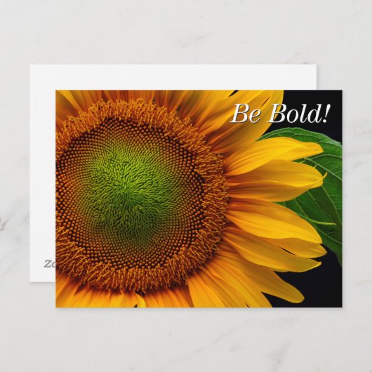 Sonnenblume Postkarte (Vorne/Hinten)