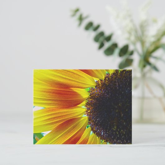 Sonnenblume Postkarte (Stehend Vorderseite)