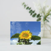 Sonnenblume Postkarte (Stehend Vorderseite)