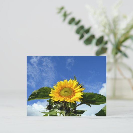 Sonnenblume Postkarte (Stehend Vorderseite)