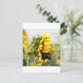 Sonnenblume Postkarte (Stehend Vorderseite)