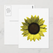 Sonnenblume Postkarte (Vorne/Hinten)