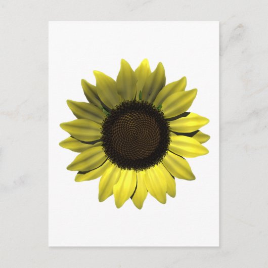 Sonnenblume Postkarte (Vorderseite)