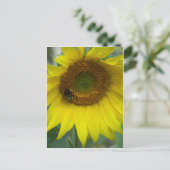 Sonnenblume Postkarte (Stehend Vorderseite)