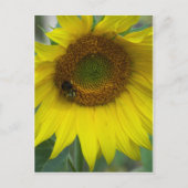 Sonnenblume Postkarte (Vorderseite)