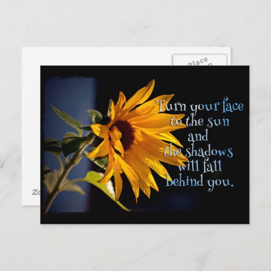 Sonnenblume Postkarte (Vorne/Hinten)