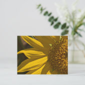 Sonnenblume Postkarte (Stehend Vorderseite)