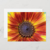 Sonnenblume Postkarte (Vorne/Hinten)