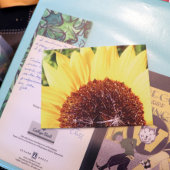 Sonnenblume Postkarte