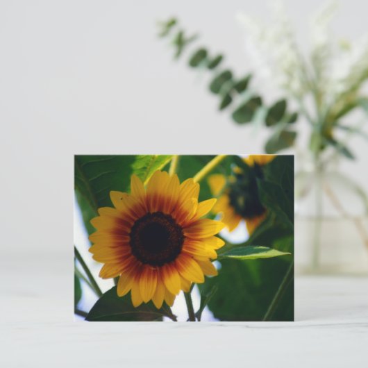 Sonnenblume Postkarte (Stehend Vorderseite)