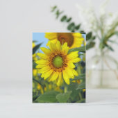 Sonnenblume Postkarte (Stehend Vorderseite)