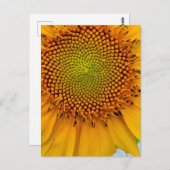 Sonnenblume Postkarte (Vorne/Hinten)