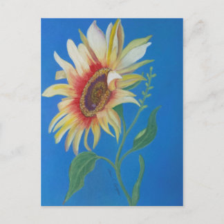 Sonnenblume Postkarte