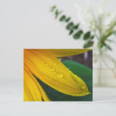 Sonnenblume Postkarte (Stehend Vorderseite)