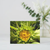 Sonnenblume Postkarte (Stehend Vorderseite)