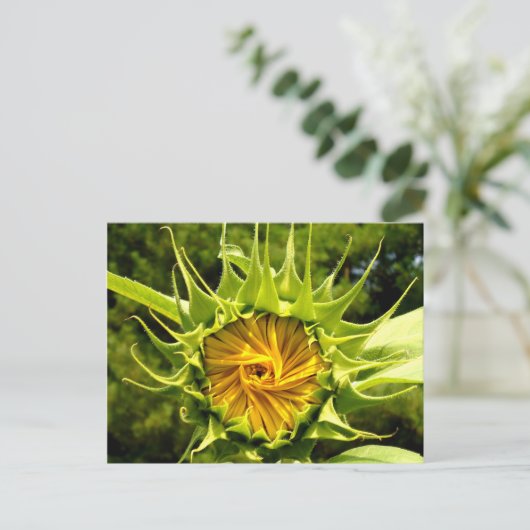Sonnenblume Postkarte (Stehend Vorderseite)