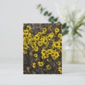 Sonnenblume Postkarte (Stehend Vorderseite)