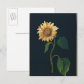 Sonnenblume Postkarte (Vorne/Hinten)