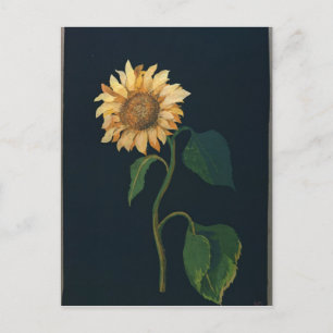 Sonnenblume Postkarte