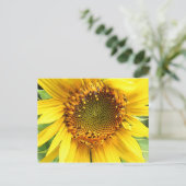 Sonnenblume, Postkarte (Stehend Vorderseite)
