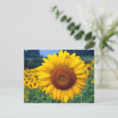 Sonnenblume Postkarte (Stehend Vorderseite)