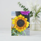 Sonnenblume Postkarte (Stehend Vorderseite)