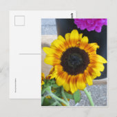 Sonnenblume Postkarte (Vorne/Hinten)