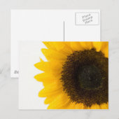 Sonnenblume Postkarte (Vorne/Hinten)
