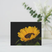 Sonnenblume Postkarte (Stehend Vorderseite)