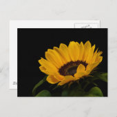 Sonnenblume Postkarte (Vorne/Hinten)