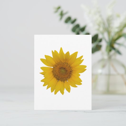 Sonnenblume Postkarte (Stehend Vorderseite)