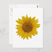 Sonnenblume Postkarte (Vorne/Hinten)