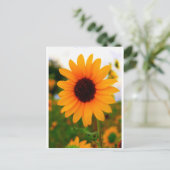 Sonnenblume Postkarte (Stehend Vorderseite)