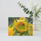 Sonnenblume Postkarte (Stehend Vorderseite)