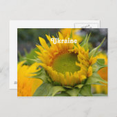 Sonnenblume Postkarte (Vorne/Hinten)