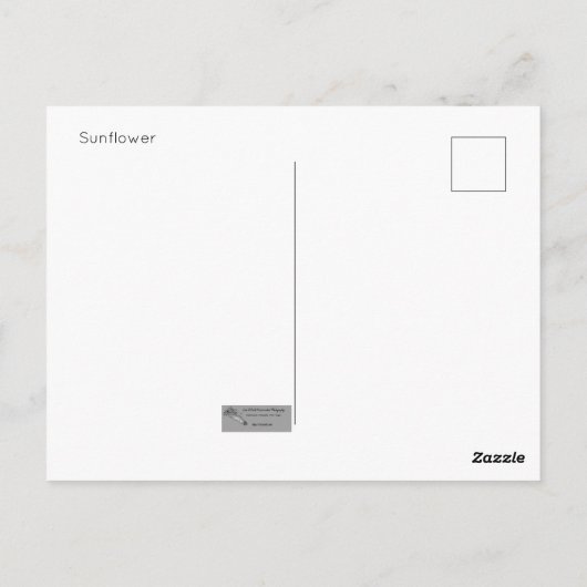 Sonnenblume Postkarte (Rückseite)