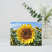 Sonnenblume Postkarte (Stehend Vorderseite)