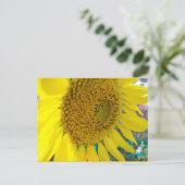 Sonnenblume Postkarte (Stehend Vorderseite)